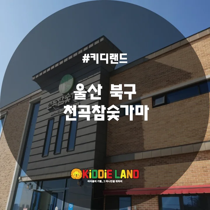 울산 북구 천곡참숯가마 오락기 자판기 설치 사례ㅣ 단기대여, 판매는 키디랜드와 함께!