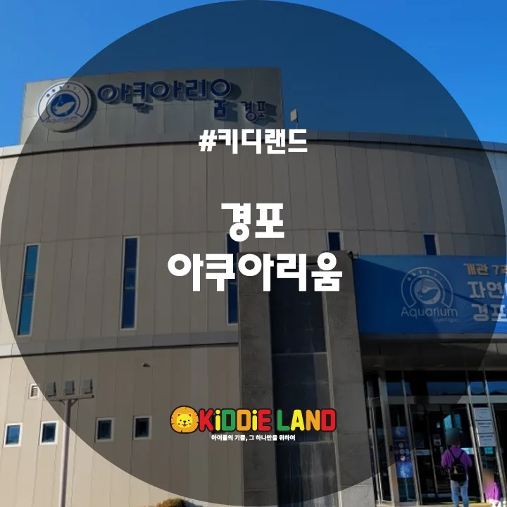 경포 아쿠아리움 오락기 자판기 설치 사례ㅣ 단기대여, 판매는 키디랜드와 함께!