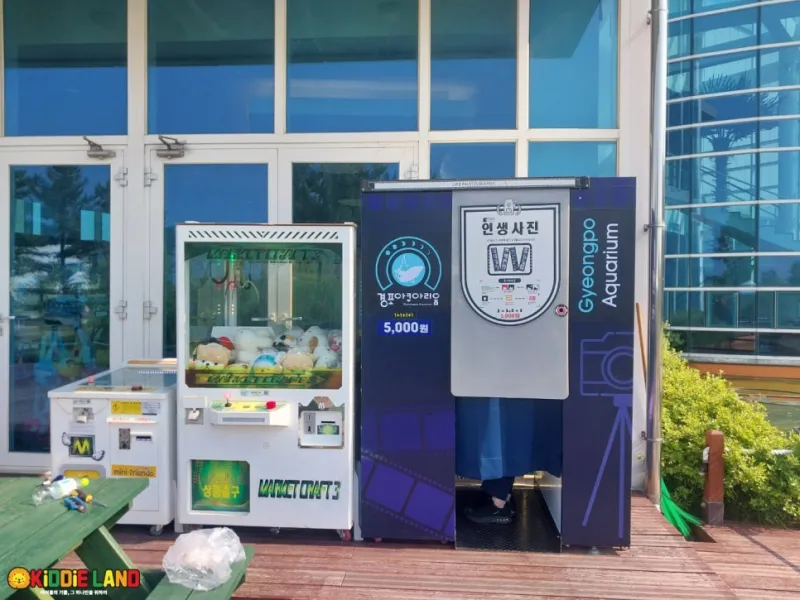 경포 아쿠아리움 오락기 자판기 설치 사례ㅣ 단기대여, 판매는 키디랜드와 함께!