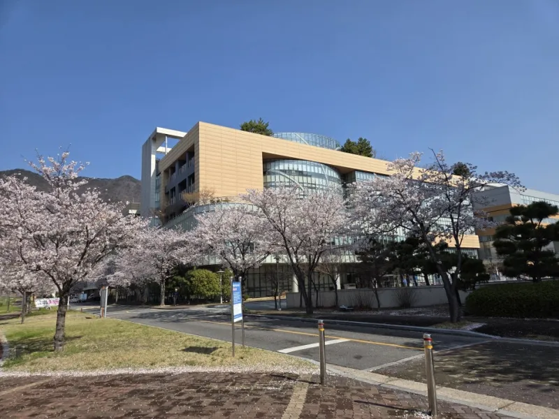 양산부산대병원 행사 게임기 렌탈 시공사례 키디랜드