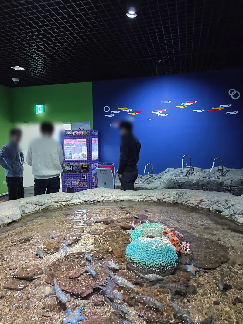 부산 수산과학관 방문기 키디랜드 인형뽑기와 체험 공간 소개