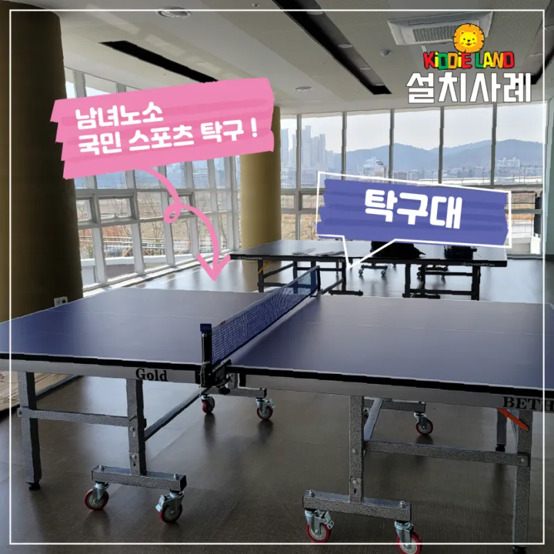 스포츠시설 스포츠게임기 탁구대 하키게임기 설치 임대 판매 가격