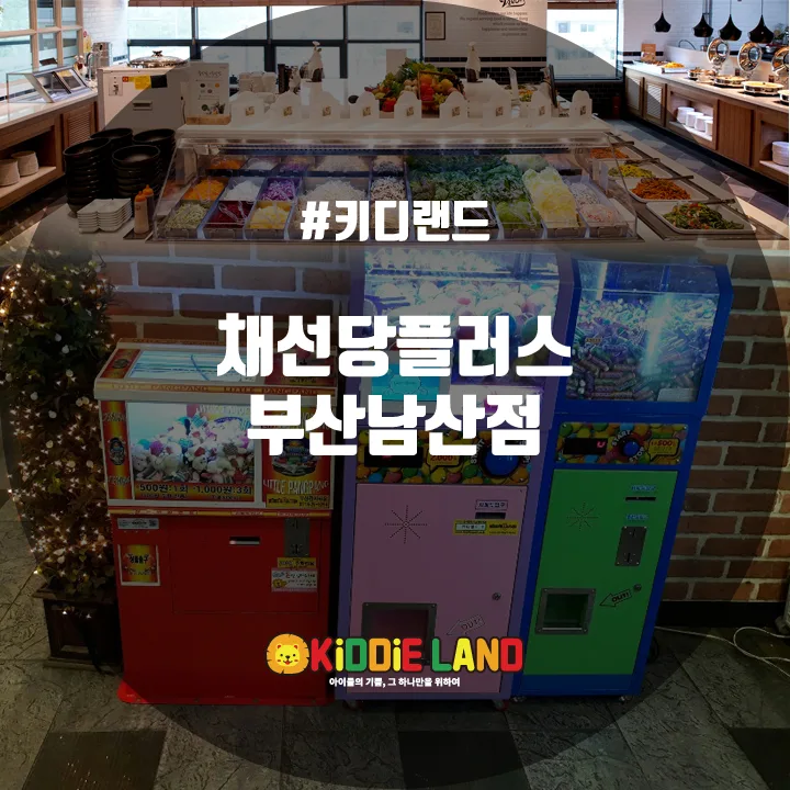 채선당플러스 부산남산점 @ 키디랜드