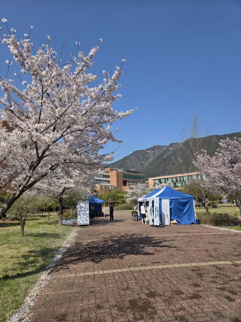 양산부산대병원 행사 게임기 렌탈 시공사례 키디랜드