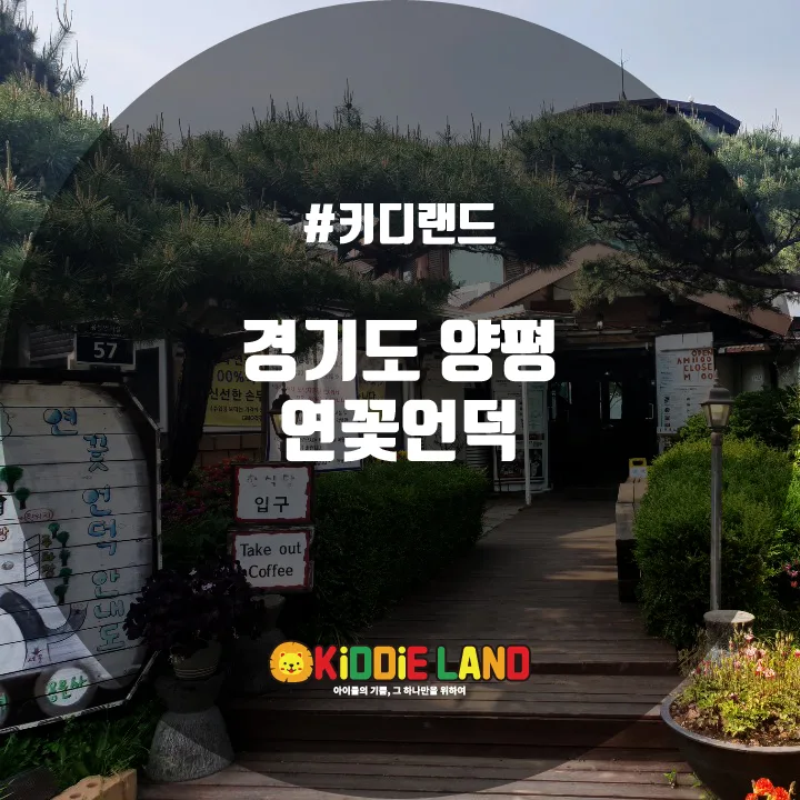 양평 한식당 연꽃언덕 @ 키디랜드