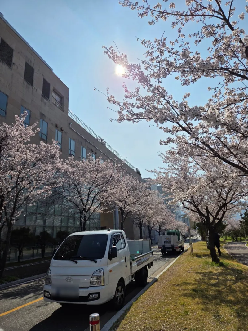 양산부산대병원 행사 게임기 렌탈 시공사례 키디랜드
