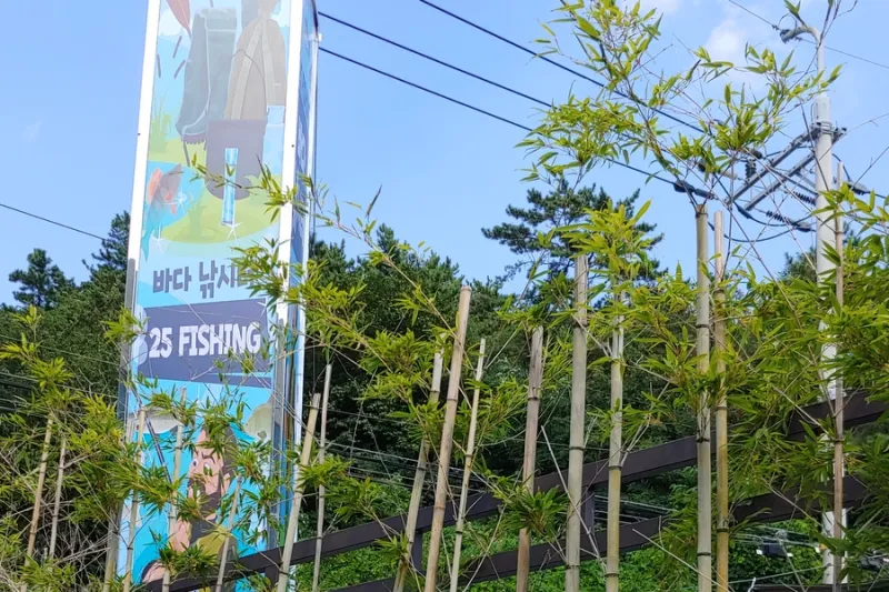 실내낚시터 오락실 게임기/ 자판기/ 뽑기기계/ 키디라이드 설치사례 [실내바다낚시터 fishing25]