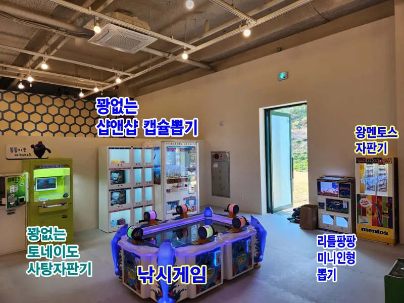 [설치사례] 초대형 키즈카페 진주윌리코키